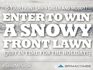 Brimacombe Send Me Snow