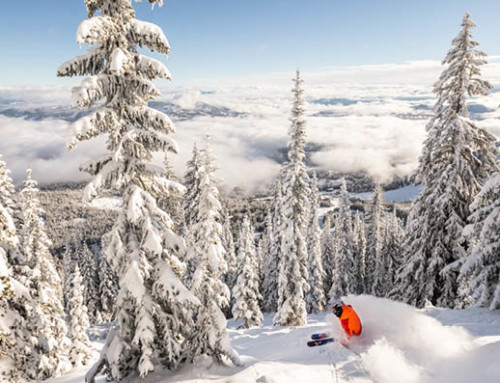 Snowiest, Cruisiest, Prettiest: Our Top Ski Runs In BC